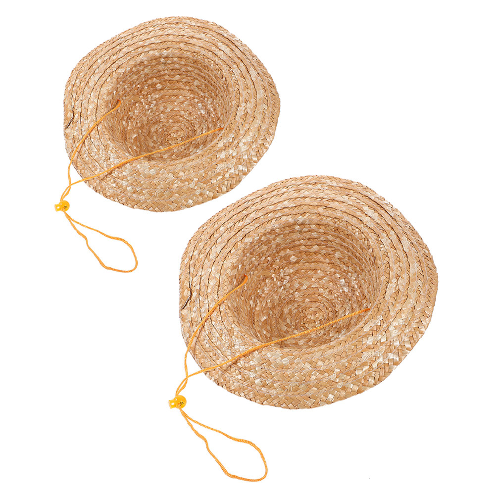 2個セット 子供用麦わら帽子 ナチュラルカラー 広いつば 日 - Sun Hat Wide Brim のレビューと価格